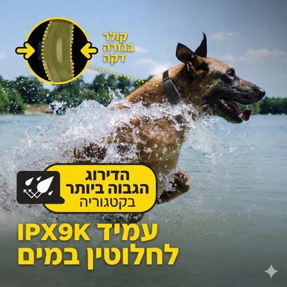 חדש! דוגטרה קולר אלקטרוני- קולר  אילוף חשמלי Dogtra ARC-X