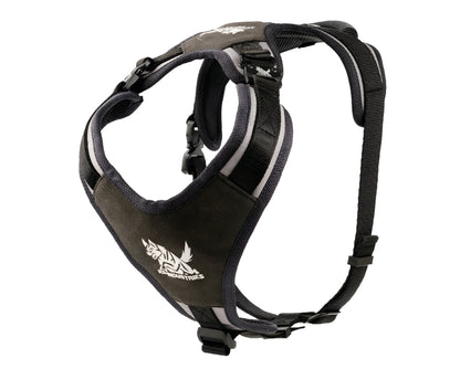 רתמת ניילון פרימיום לכלב – עמידה, נוחה ומקצועית