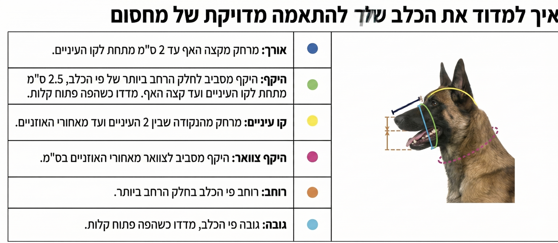 מחסום מתכת עם רצועות עור
