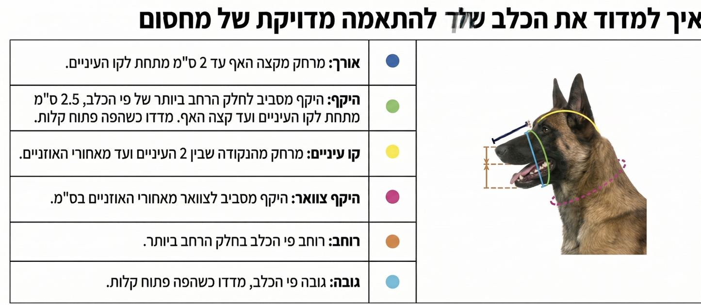 מחסום מתכת עם רצועות עור