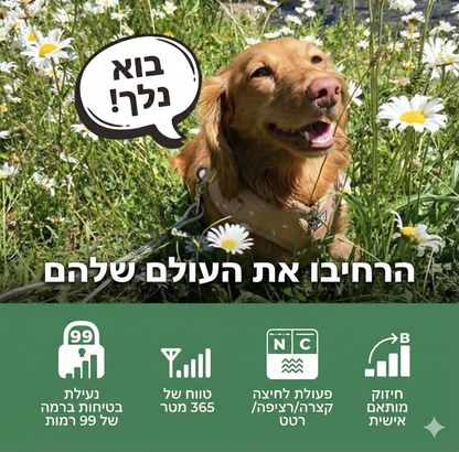 חדש! דוגטרה קולר אלקטרוני- קולר  אילוף חשמלי Dogtra IQ FLEX (CUE GEN2)