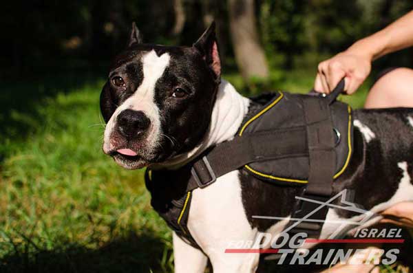 חדש! רתמה לכלב עשויה מניילון רב תכליתית - FOR DOG TRAINERS- ISRAEL