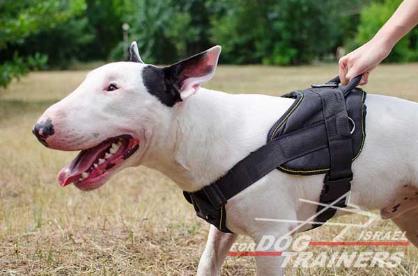 חדש! רתמה לכלב עשויה מניילון רב תכליתית - FOR DOG TRAINERS- ISRAEL