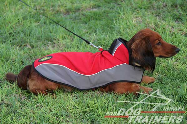 מעיל לכלבים חם לחורף עשוי מניילון לטיולים - FOR DOG TRAINERS- ISRAEL