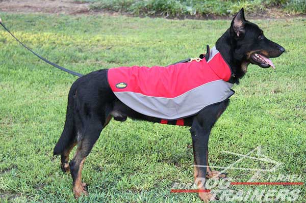 מעיל לכלבים חם לחורף עשוי מניילון לטיולים - FOR DOG TRAINERS- ISRAEL