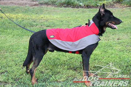 מעיל לכלבים חם לחורף עשוי מניילון לטיולים - FOR DOG TRAINERS- ISRAEL