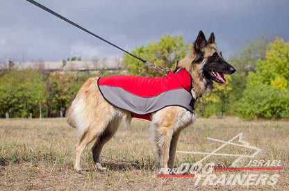מעיל לכלבים חם לחורף עשוי מניילון לטיולים - FOR DOG TRAINERS- ISRAEL