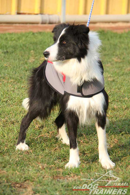 מעיל לכלבים חם לחורף עשוי מניילון לטיולים - FOR DOG TRAINERS- ISRAEL