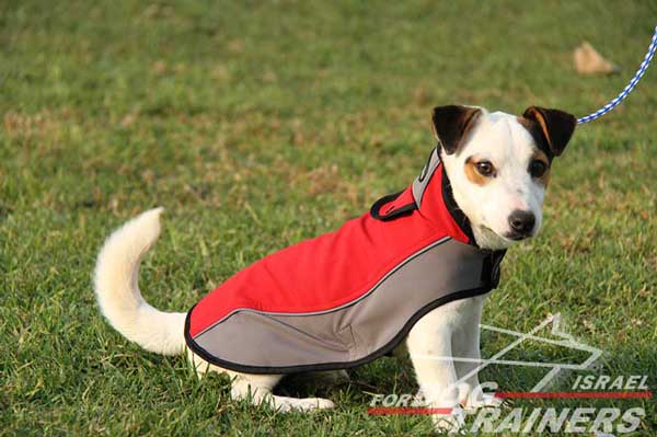 מעיל לכלבים חם לחורף עשוי מניילון לטיולים - FOR DOG TRAINERS- ISRAEL