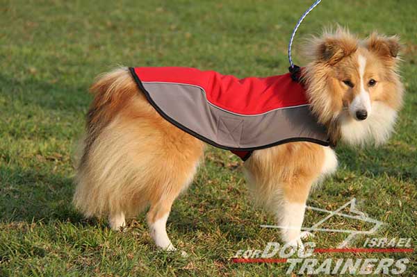 מעיל לכלבים חם לחורף עשוי מניילון לטיולים - FOR DOG TRAINERS- ISRAEL