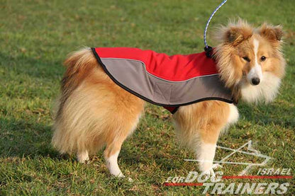 מעיל לכלבים חם לחורף עשוי מניילון לטיולים - FOR DOG TRAINERS- ISRAEL