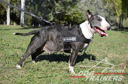 רתמה לכלב מניילון לסחיבה / גרירה, גישוש, חיפוש והצלה ולאימונים - FOR DOG TRAINERS- ISRAEL