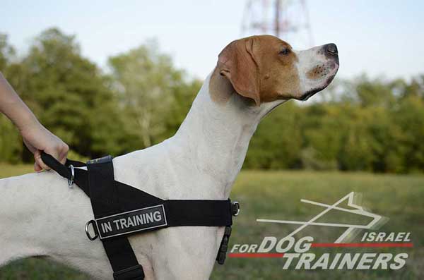 רתמה לכלב מניילון לסחיבה / גרירה, גישוש, חיפוש והצלה ולאימונים - FOR DOG TRAINERS- ISRAEL