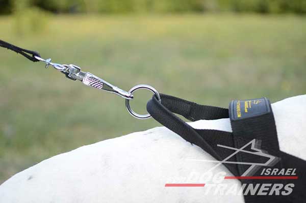 רתמה לכלב מניילון לסחיבה / גרירה, גישוש, חיפוש והצלה ולאימונים - FOR DOG TRAINERS- ISRAEL