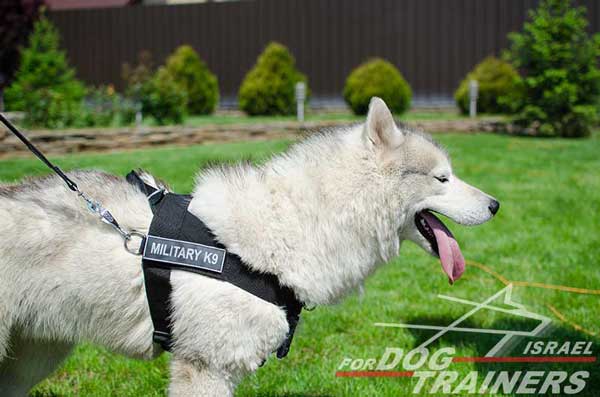 רתמה לכלב מניילון לסחיבה / גרירה, גישוש, חיפוש והצלה ולאימונים - FOR DOG TRAINERS- ISRAEL