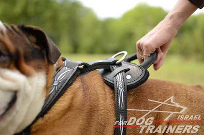 רתמת עור לכלב מתכווננת לאימוני תקיפה ולטיולים - FOR DOG TRAINERS- ISRAEL