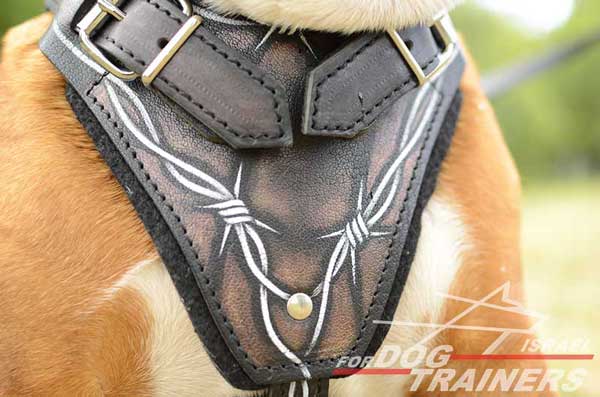 רתמת עור לכלב מתכווננת לאימוני תקיפה ולטיולים - FOR DOG TRAINERS- ISRAEL