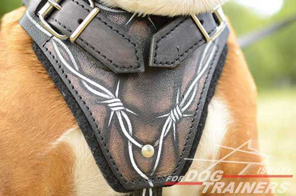 רתמת עור לכלב מתכווננת לאימוני תקיפה ולטיולים - FOR DOG TRAINERS- ISRAEL