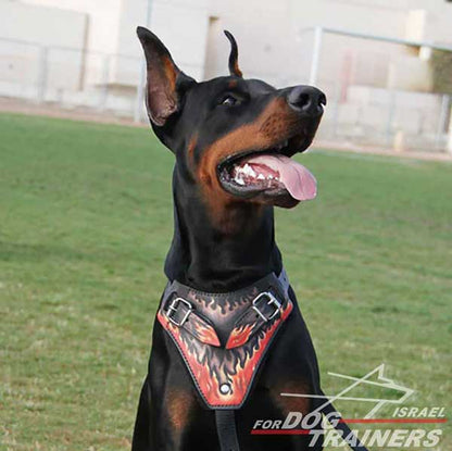 רתמת עור לכלב בצביעה ידנית לאימוני תקיפה | עם רצועות מתכווננות - FOR DOG TRAINERS- ISRAEL