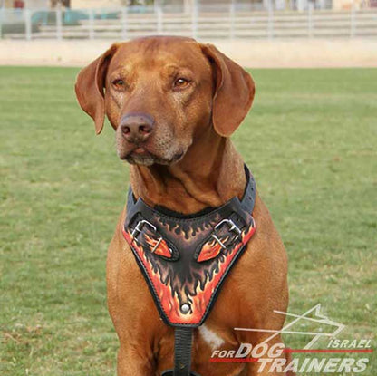 רתמת עור לכלב בצביעה ידנית לאימוני תקיפה | עם רצועות מתכווננות - FOR DOG TRAINERS- ISRAEL