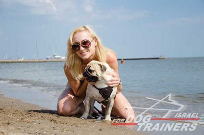 רתמת עור לכלב, מיועדת לגורים | לאימונים, טיולים ולגישוש - FOR DOG TRAINERS- ISRAEL