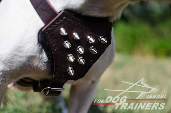 רתמה לכלב מעור לגורים ולכלבים קטנים- פרנץ' בולדוג - FOR DOG TRAINERS- ISRAEL