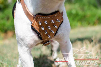 רתמה לכלב מעור לגורים ולכלבים קטנים- פרנץ' בולדוג - FOR DOG TRAINERS- ISRAEL