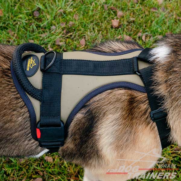 חדש! רתמה לכלב באיכות מעולה לשליטה מירבית - FOR DOG TRAINERS- ISRAEL