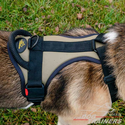 חדש! רתמה לכלב באיכות מעולה לשליטה מירבית - FOR DOG TRAINERS- ISRAEL