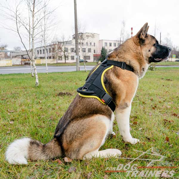 חדש! רתמה לכלב באיכות מעולה לשליטה מירבית - FOR DOG TRAINERS- ISRAEL