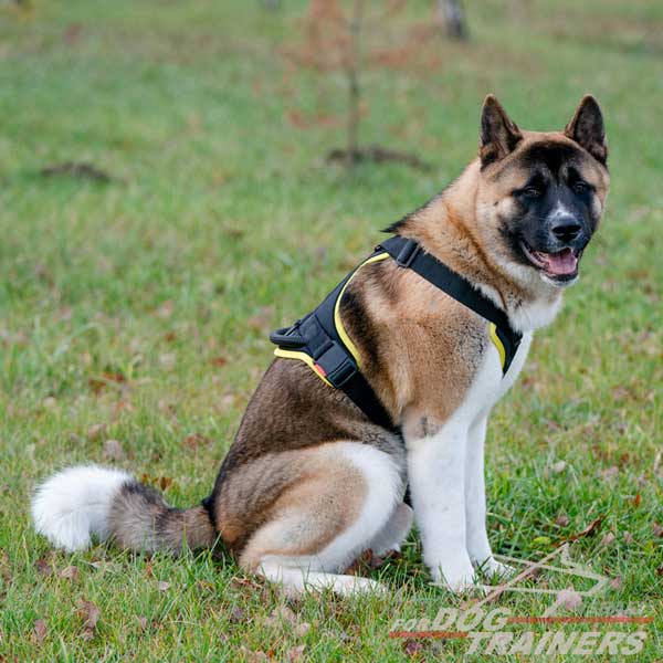 חדש! רתמה לכלב באיכות מעולה לשליטה מירבית - FOR DOG TRAINERS- ISRAEL