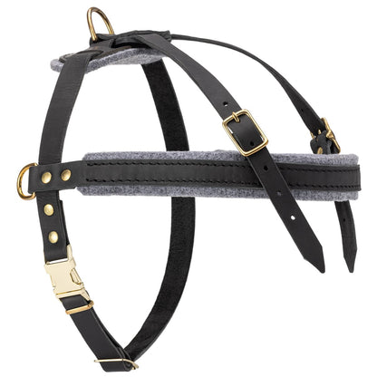 רתמת עור לכלב | לסחיבה / גרירה, גישוש ולטיולים - FOR DOG TRAINERS- ISRAEL