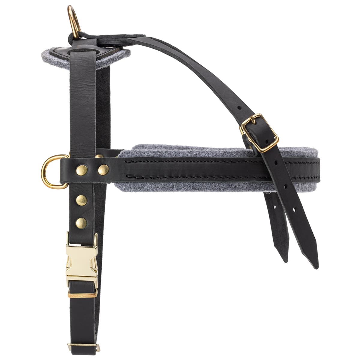 רתמת עור לכלב | לסחיבה / גרירה, גישוש ולטיולים - FOR DOG TRAINERS- ISRAEL