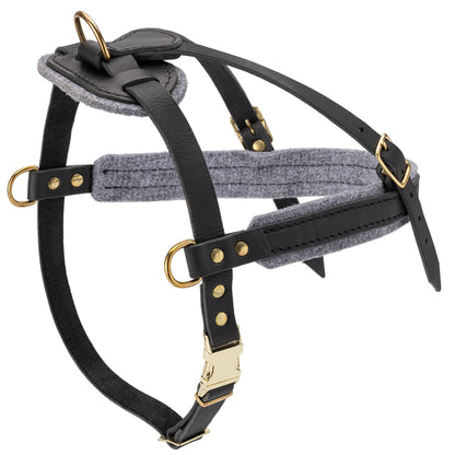 רתמת עור לכלב | לסחיבה / גרירה, גישוש ולטיולים - FOR DOG TRAINERS- ISRAEL