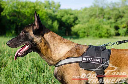 רתמה לכלב עשויה ניילון עם רצועה מחזירת אור לאימון, שירות משטרתי, חיפוש - FOR DOG TRAINERS- ISRAEL