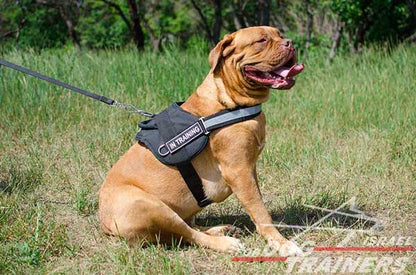 רתמה לכלב עשויה ניילון עם רצועה מחזירת אור לאימון, שירות משטרתי, חיפוש - FOR DOG TRAINERS- ISRAEL