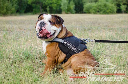 רתמה לכלב עשויה ניילון עם רצועה מחזירת אור לאימון, שירות משטרתי, חיפוש - FOR DOG TRAINERS- ISRAEL