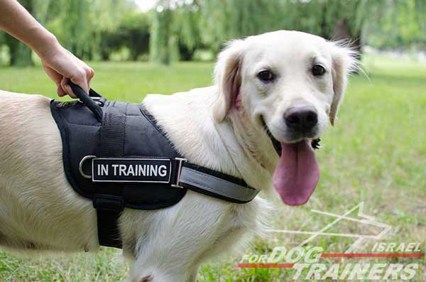 רתמה לכלב עשויה ניילון עם רצועה מחזירת אור לאימון, שירות משטרתי, חיפוש - FOR DOG TRAINERS- ISRAEL