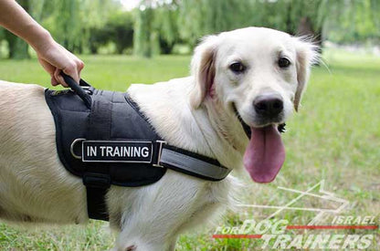 רתמה לכלב עשויה ניילון עם רצועה מחזירת אור לאימון, שירות משטרתי, חיפוש - FOR DOG TRAINERS- ISRAEL