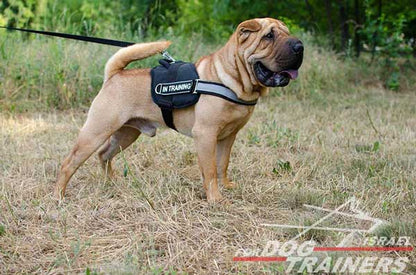 רתמה לכלב עשויה ניילון עם רצועה מחזירת אור לאימון, שירות משטרתי, חיפוש - FOR DOG TRAINERS- ISRAEL