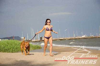 רתמת עור לכלב | לעבודות גישוש ולטיולים - FOR DOG TRAINERS- ISRAEL