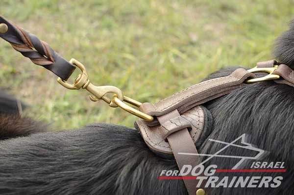 רתמת עור לכלב | לעבודות גישוש ולטיולים - FOR DOG TRAINERS- ISRAEL