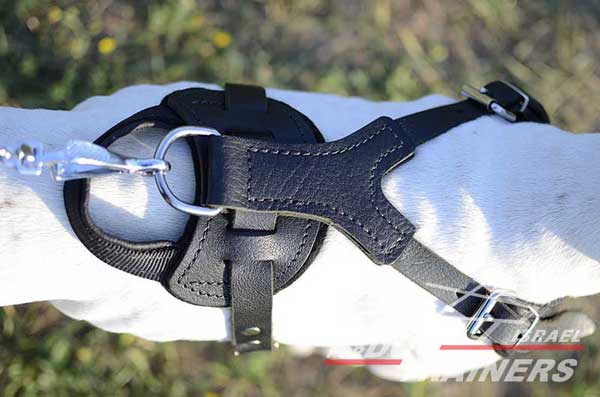 רתמת עור לכלב מתכווננת לאימוני הגנה / תקיפה - FOR DOG TRAINERS- ISRAEL