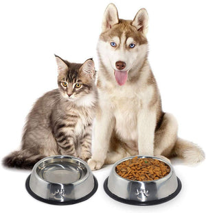 מוצרים נלווים