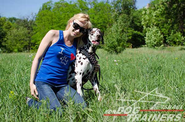 רתמה לכלבים עם ניטים מתכווננת מעור לטיולים אופנתיים עם הכלב ולאימונים - FOR DOG TRAINERS- ISRAEL