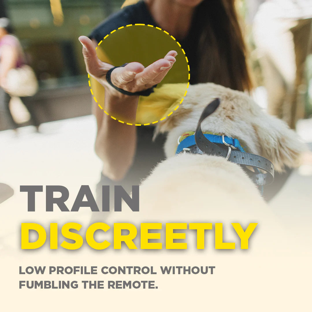 כפתור לשליטה מרחוק HANDSFREE SQUARE למערכות Dogtra