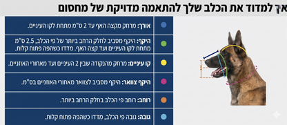 איך למדוד מחסום מרושת נכון