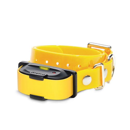 קולר חלופי לדוגטרה אי קיו מיני - DOGTRA IQ MINI - FOR DOG TRAINERS- ISRAEL