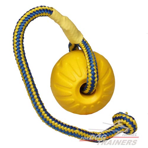 כדור ספוג לאימונים ומשחקים עם הכלב 7.5 ס"מ - בינוני - FOR DOG TRAINERS- ISRAEL