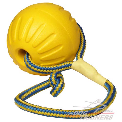 כדור ספוג לאימונים ומשחקים עם הכלב 9 ס"מ - גדול - FOR DOG TRAINERS- ISRAEL